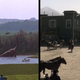 Jurassic Park/Westworld